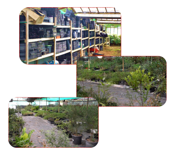 Nursery-768x682